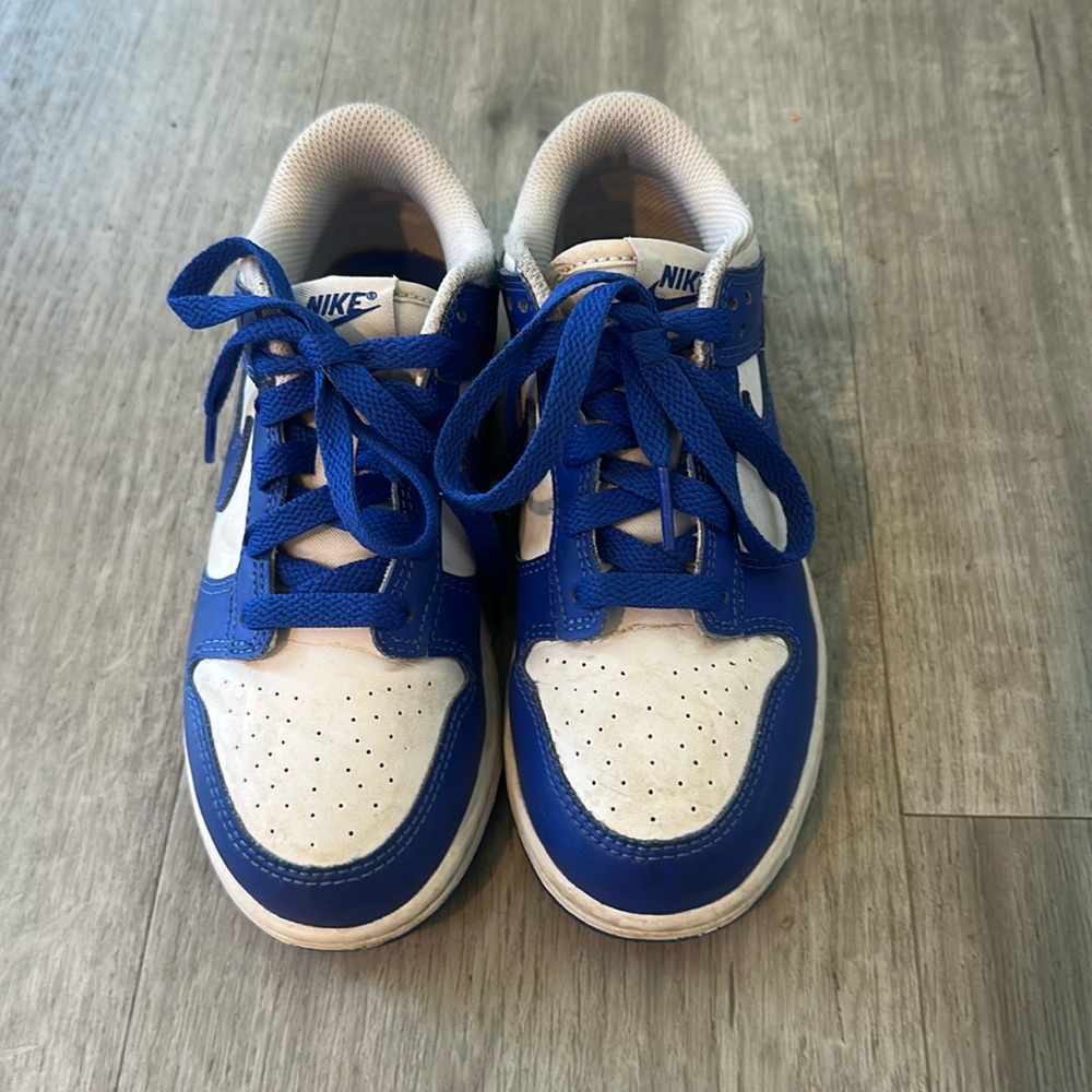 Nike Dunk Low Sneakers